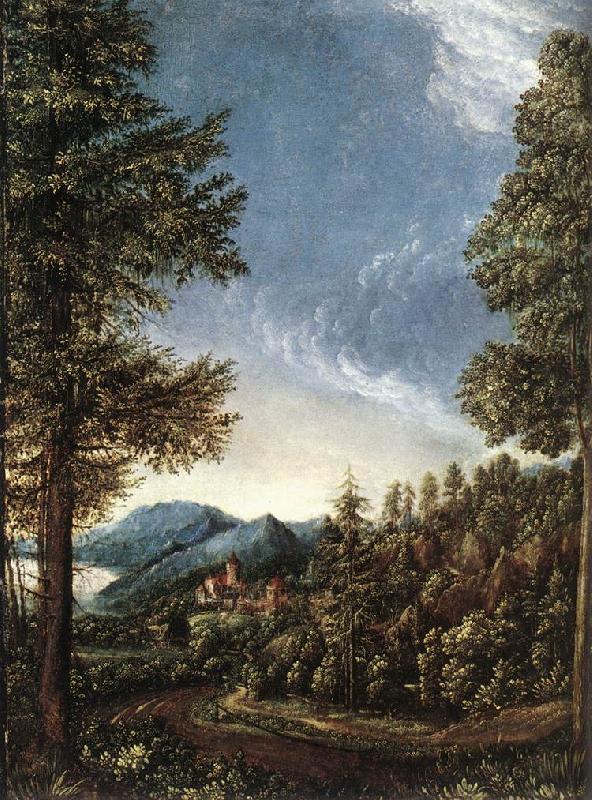 ALTDORFER, Albrecht Danubian Landscape g Sweden oil painting art